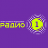 1 Первое Подмосковное